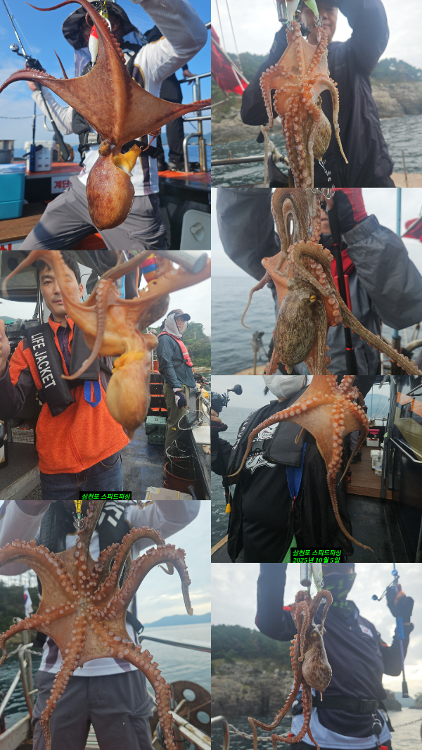 KakaoTalk_20251006_215501307.jpg