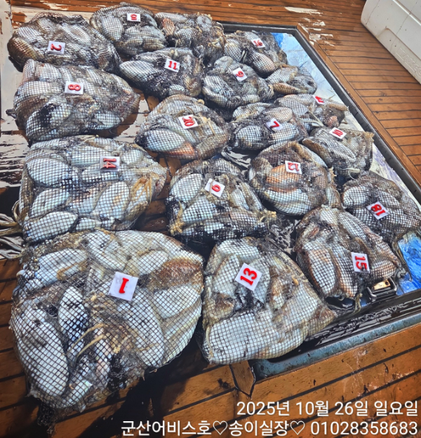 1000017123.jpg