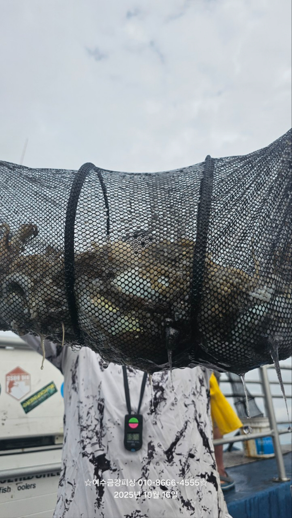 여수금강피싱_사진_20251016_3.jpg