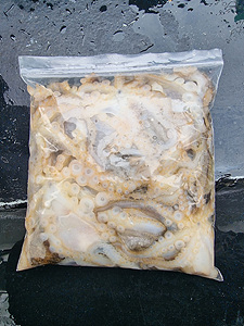 인천쭈꾸미낚시 (9).jpg