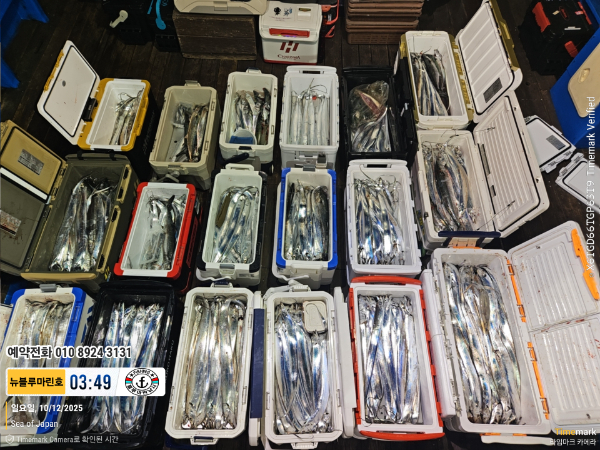 2025-10-12 03.49.59_Japan_(제목-뉴블루마린호)_(예약전화 010 8924 3131).jpg