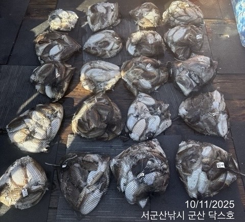 군산 선상낚시, 바다낚시 출조 전문 ☆서군산낚시☆_사진_20251011_3.jpg