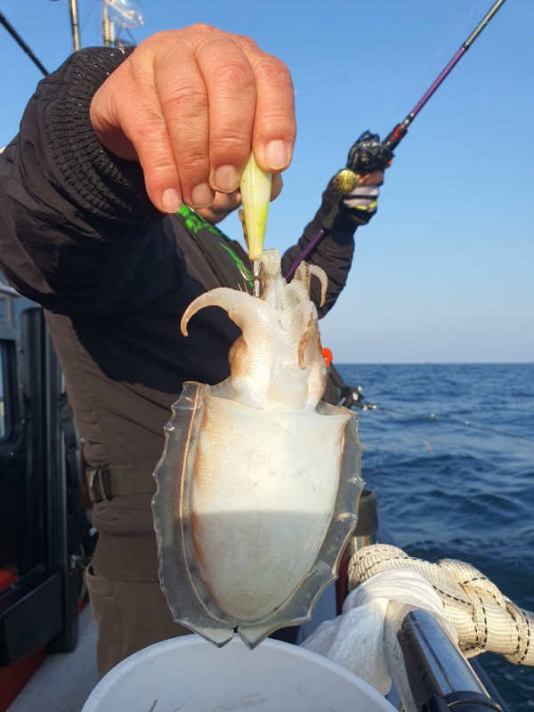 군산 선상낚시, 바다낚시 출조 전문 ☆서군산낚시☆_사진_20251031_7.jpg