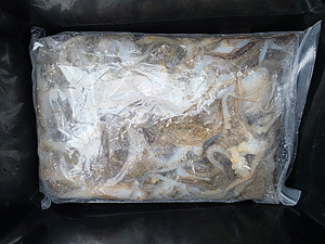 인천쭈꾸미낚시 (1).jpg