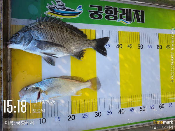KakaoTalk_20251011_184234997_02.jpg