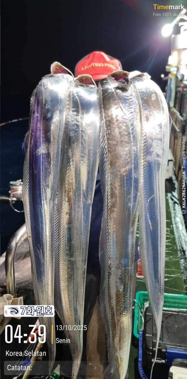 제주갈치낚시 화원호_사진_20251013_19.jpg