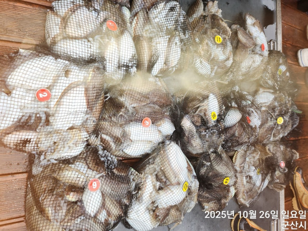 군산 선상낚시, 바다낚시 출조 전문 ☆서군산낚시☆_사진_20251026_1.jpg