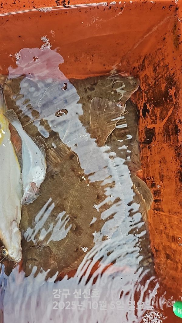 신신낚시 강구점 신신호_사진_20251005_17.jpg