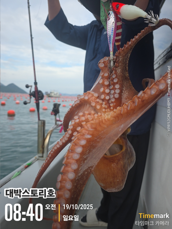 2025-10-19 08.40.16__(대박스토리호).jpg