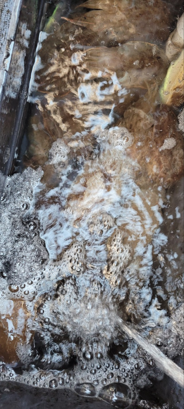 예지퀸호 농어외수질&어초낚시 경기인천권_사진_20251026_10.jpg