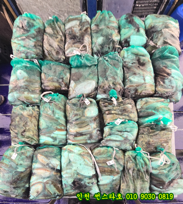 10월30 썬 (11).jpg