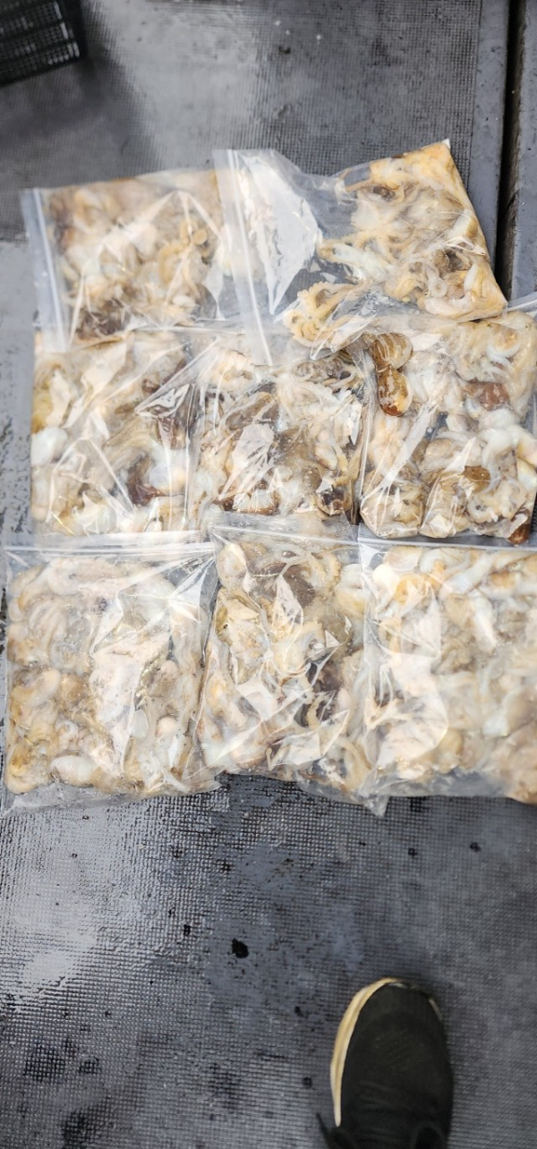 예지퀸호 농어외수질&어초낚시 경기인천권_사진_20251002_6.jpg