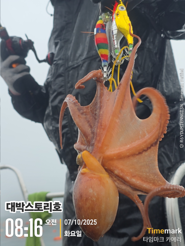 2025-10-07 08.16.55__(대박스토리호).jpg