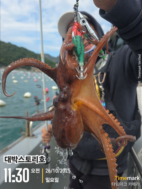 2025-10-26 11.30.34__(대박스토리호).jpg