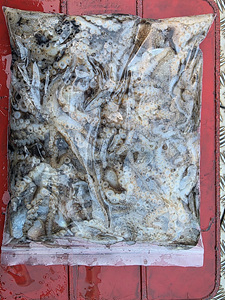 인천쭈꾸미낚시 (18).jpg