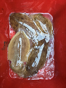 인천쭈꾸미조황 (5).jpg