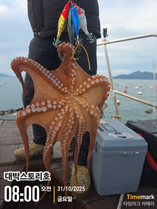 2025-10-31 08.00.21__(대박스토리호).jpg