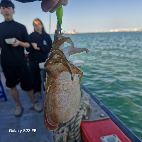 인천쭈꾸미낚시 (14).jpg