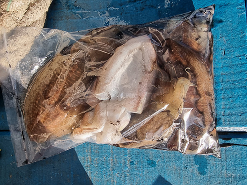 인천쭈꾸미낚시 (13).jpg