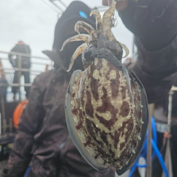 마검포 대한호(VIP)_사진_20251015_3.jpg