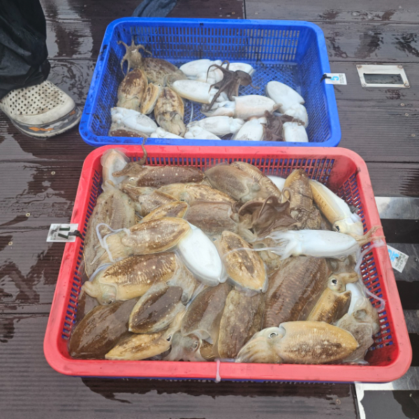 마검포 대한호(VIP)_사진_20251015_7.jpg