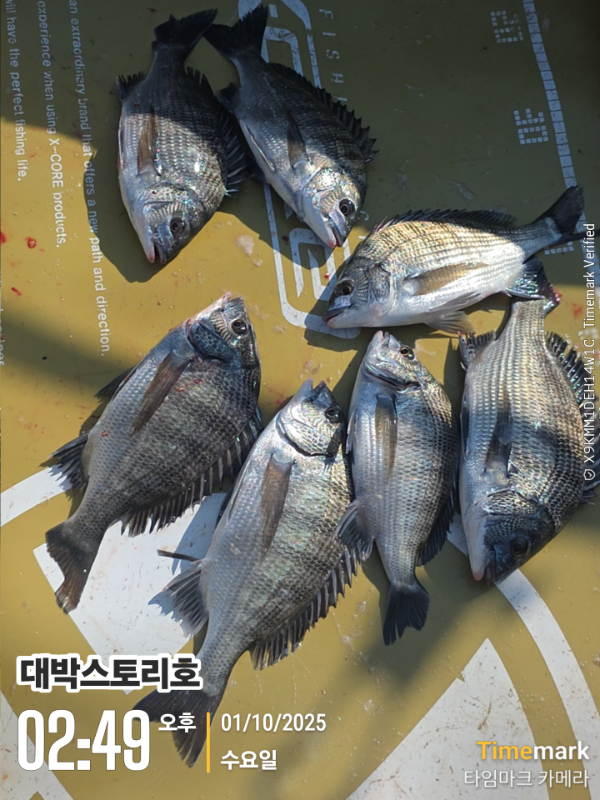 2025-10-01 02.49.38__(대박스토리호).jpg