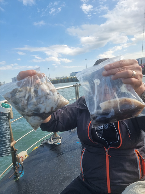 인천쭈꾸미낚시 (11).jpg