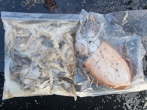 인천쭈꾸미낚시 (20).jpg