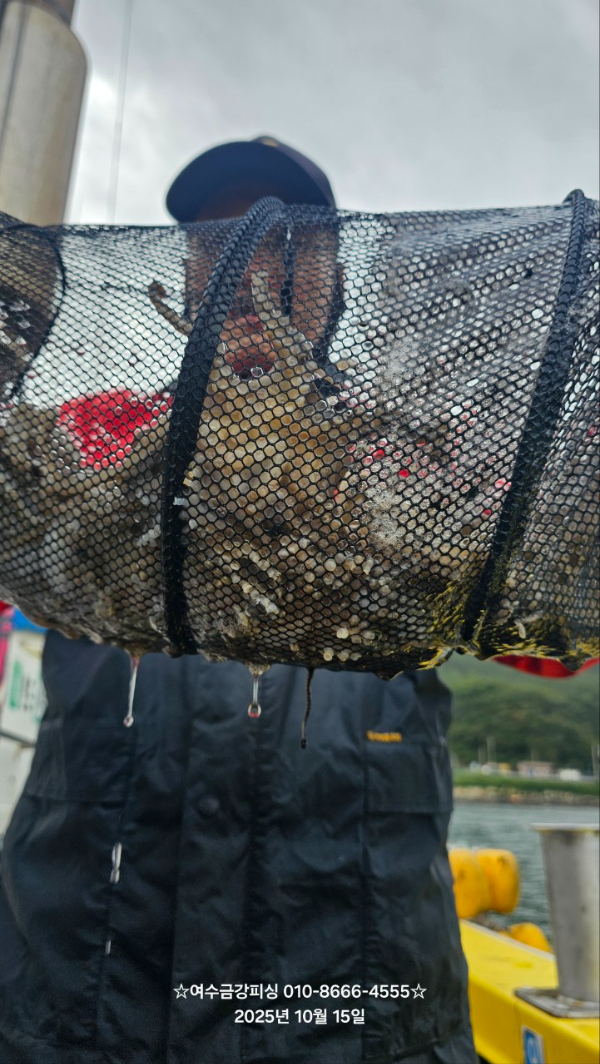 여수금강피싱_사진_20251015_14.jpg
