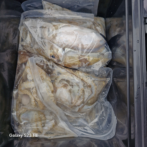 인천쭈꾸미낚시 (7).jpg