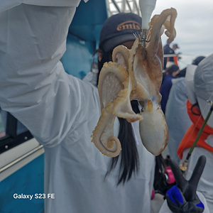 인천쭈꾸미낚시 (8).jpg