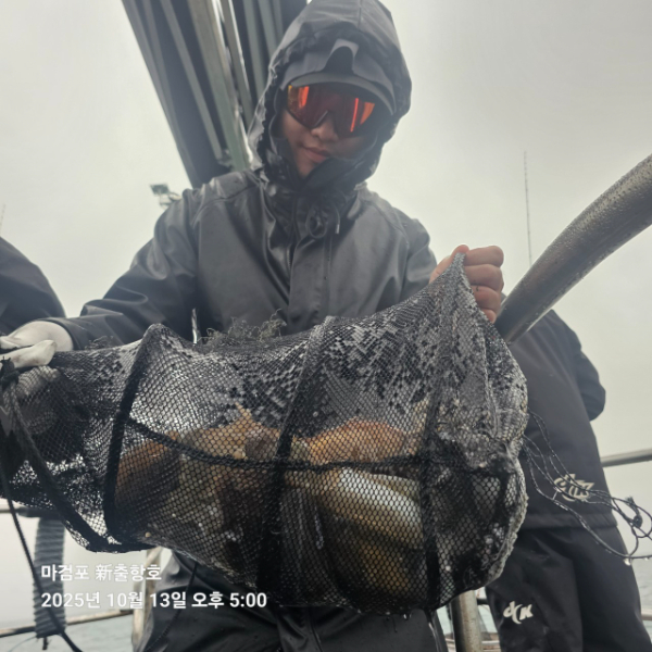 ꫛꫀꪝ✧‧˚ 태안 마검포 新출항호 .• _˚☀₊_사진_20251013_5.jpg