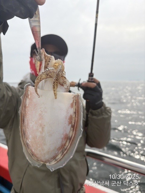 군산 선상낚시, 바다낚시 출조 전문 ☆서군산낚시☆_사진_20251030_14.jpg