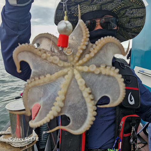 인천쭈꾸미낚시 (1).jpg