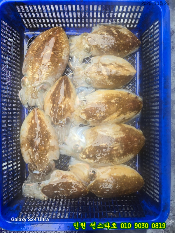 10월26 썬 (12).jpg