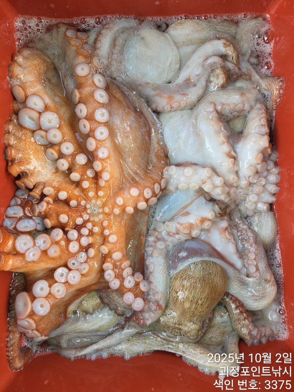 KakaoTalk_20251002_142751186_10.jpg