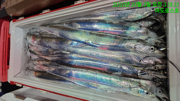 a3f6fdaaa1fb63e4800015ec75f62bad.jpg