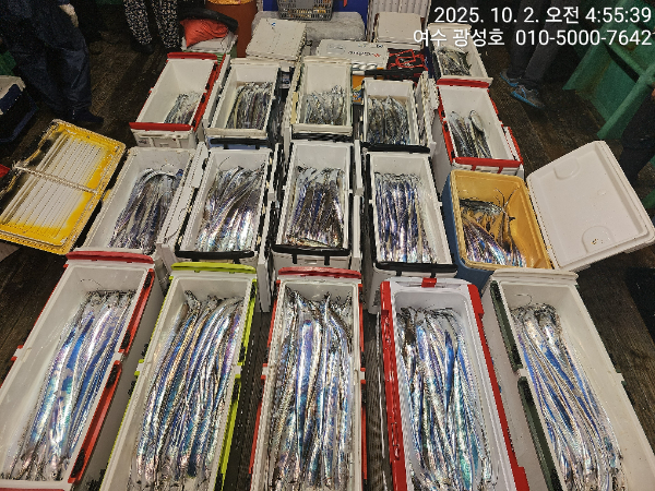 KakaoTalk_20251002_144303273_18.jpg