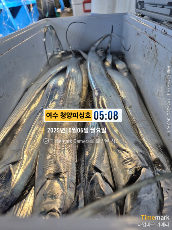 2025-10-06 05.08.30__(제목-여수 청양피싱호).jpg