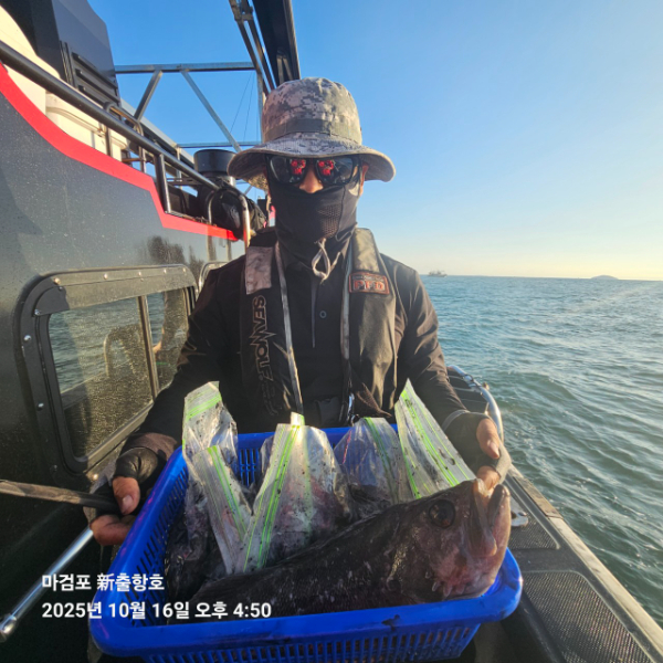 ꫛꫀꪝ✧‧˚ 태안 마검포 新출항호 .• _˚☀₊_사진_20251016_15.jpg
