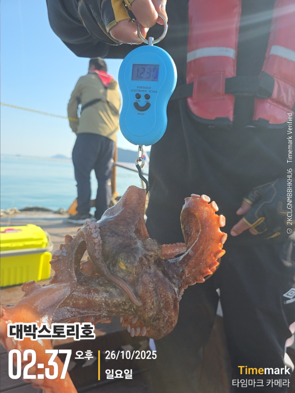 2025-10-26 02.37.56__(대박스토리호).jpg