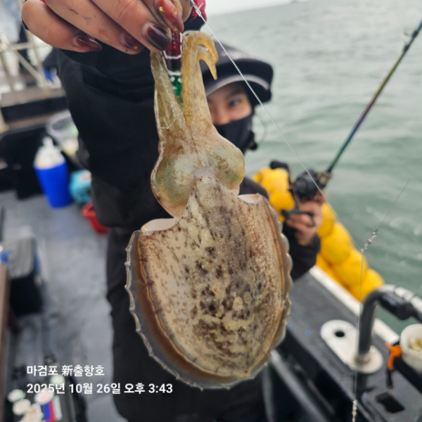 ꫛꫀꪝ✧‧˚ 태안 마검포 新출항호 .• _˚☀₊_사진_20251026_2.jpg