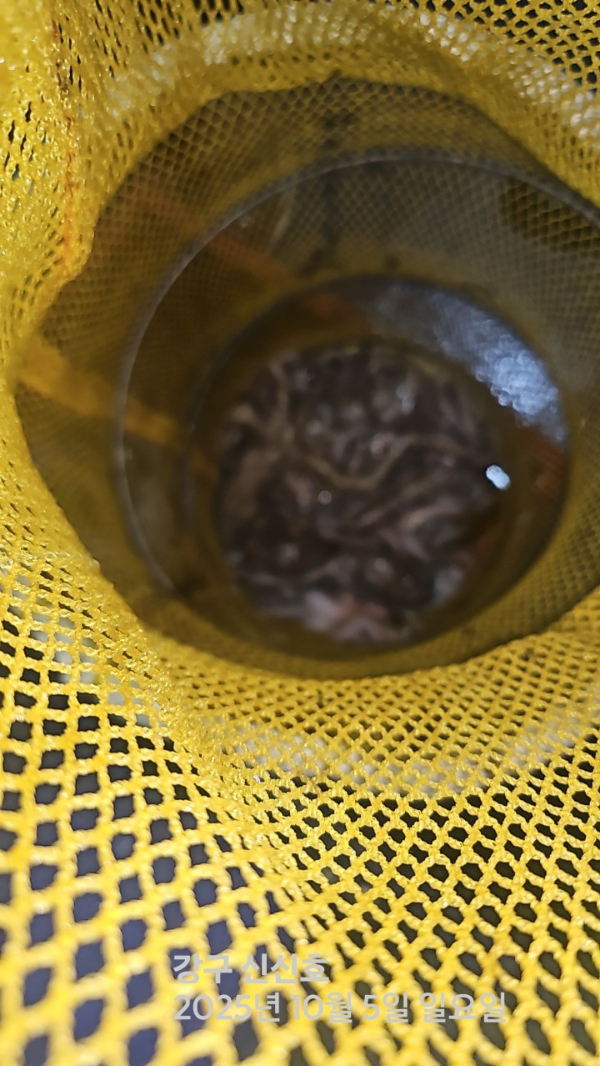 신신낚시 강구점 신신호_사진_20251005_6.jpg