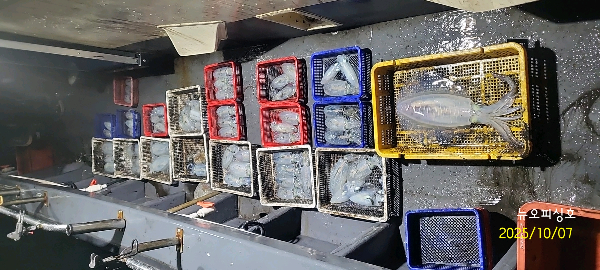 DateCamera1007004828.jpg