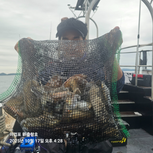 ꫛꫀꪝ✧‧˚ 태안 마검포 新출항호 .• _˚☀₊_사진_20251017_7.jpg