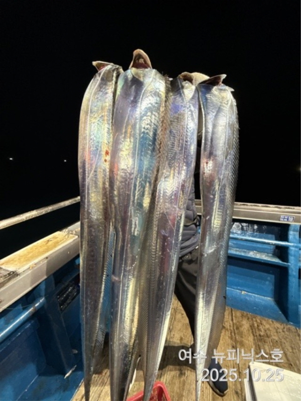 26일대갈치 (1).jpg