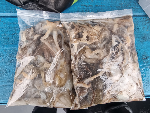 인천쭈꾸미낚시 (15).jpg