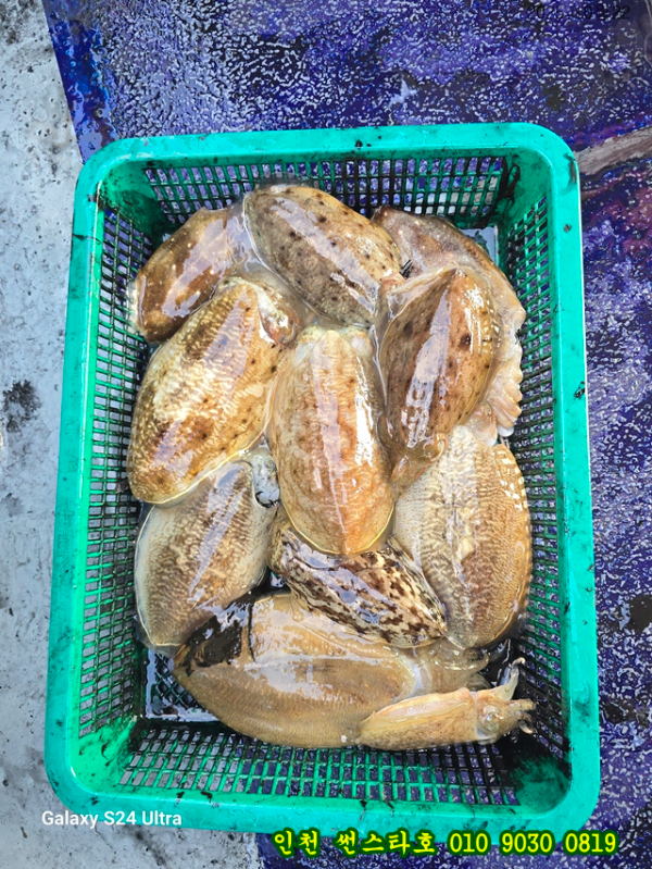 10월22 썬 (10).jpg