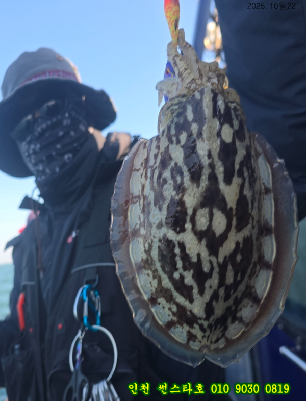 10월22 썬 (14).jpg