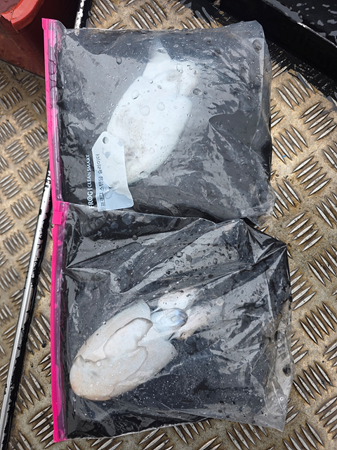 인천쭈꾸미낚시 (9).jpg